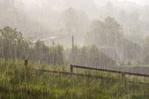 Heavy Rain, foto: Neil Tackaberry