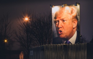 Donald Trump Backyard Photo Sign at Night - West Des Moines, Iowa, foto: Tony Webster