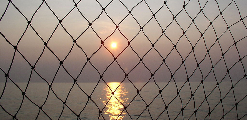 1024px Lake Erie Sunset with fish net e1462779712885