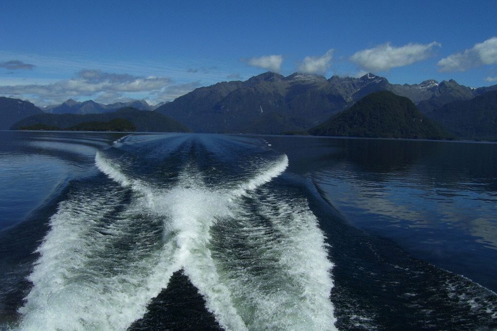 New Zealand Water Angel by Aaron Nicholson