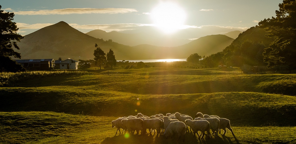 Kathrin Stefan Marks New Zealand Sunset