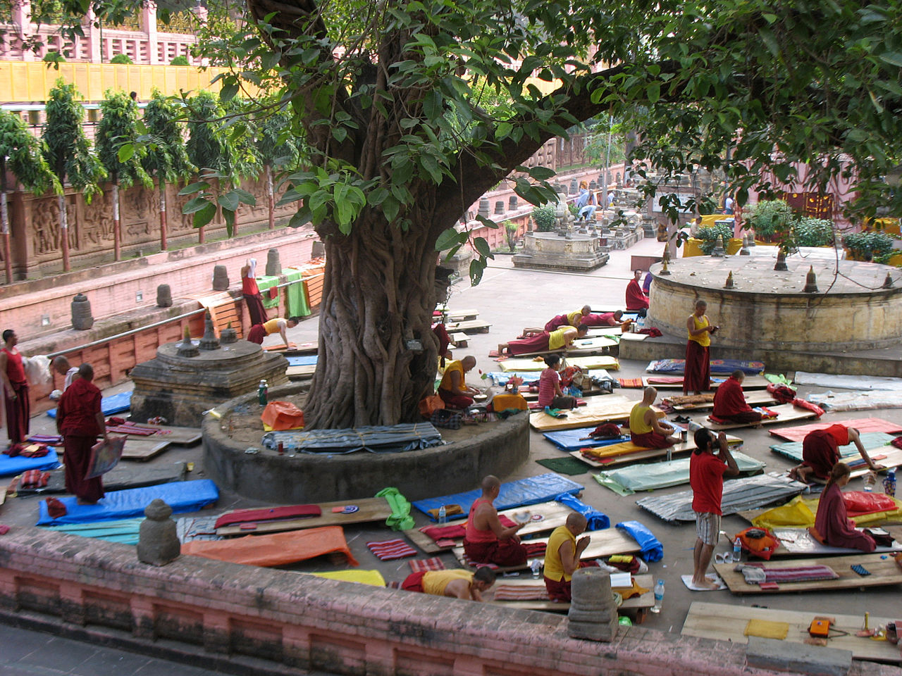 Prostrating Tibetan monks Ineb 2553