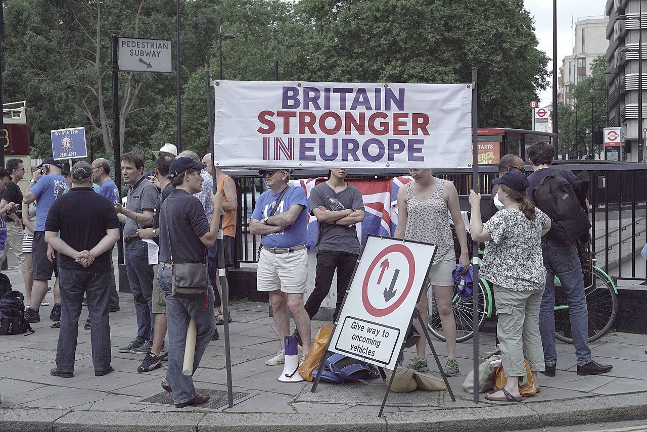 Move for Europe Demonstration London photo Jwslubbock