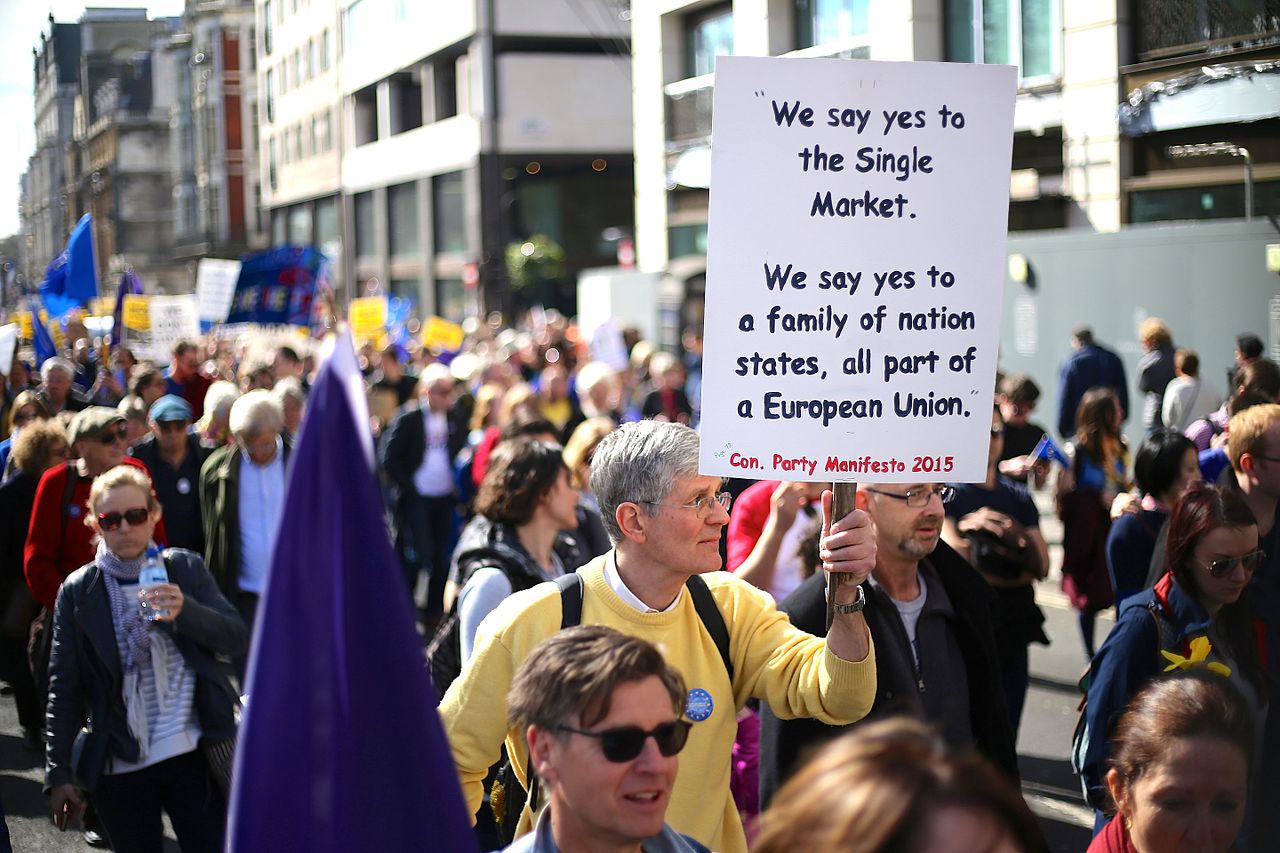 The pro EU march from Hyde Park to Westminster in London on March 25 2017 photo Ilovetheue