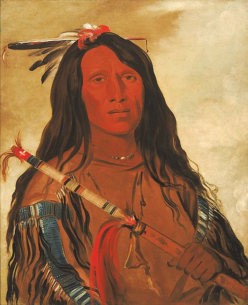 Né hee ó ee wóo tis Wolf on the Hill Chief of the Tribe by George Catlin Smithsonian American Art Museum