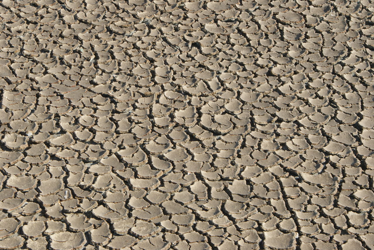 Dry soil by Norberto Chavez Tapia