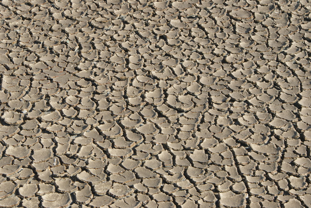 Dry soil by Norberto Chavez Tapia