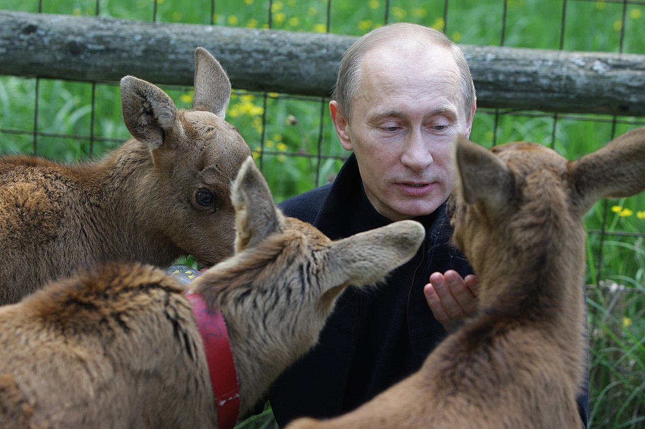 Putin playing with animals ahead of the annual World Environment Day by Prime Ministers Office