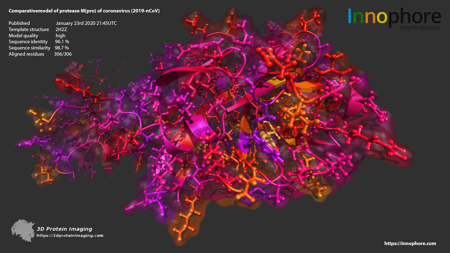 Coronavirus protease Mpro by Gianluca Tomasello