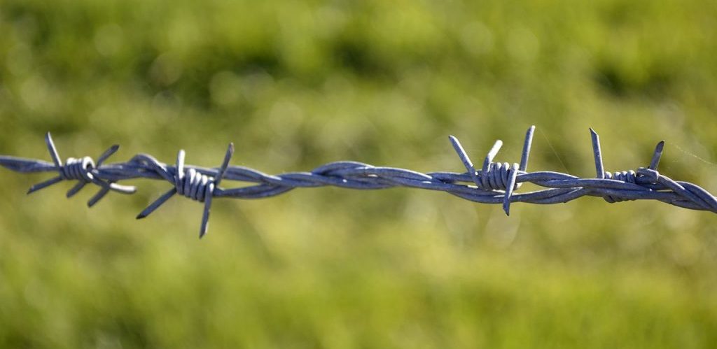 Ex Iron Curtain Barbed Wire by High Contrast