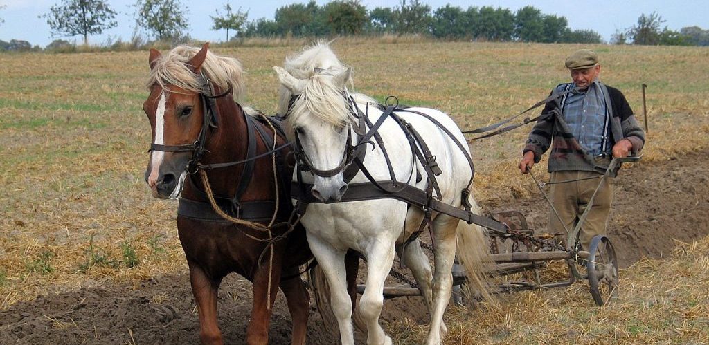 Farmer plowing at plowing competition 2004 in Germany by Ralf Roletschek