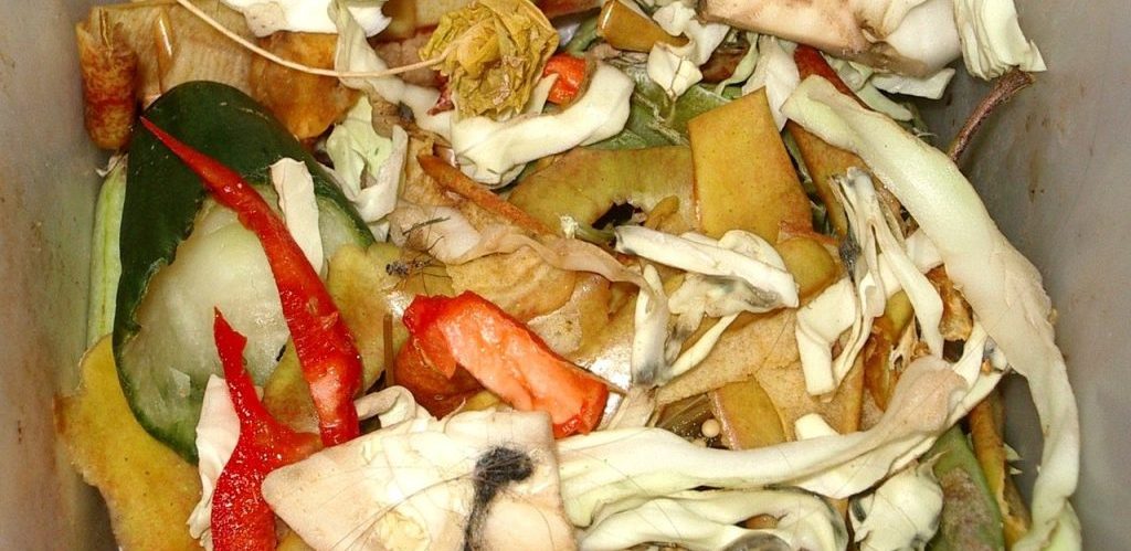 Biodegradable waste in a trashcan by Muu karhu