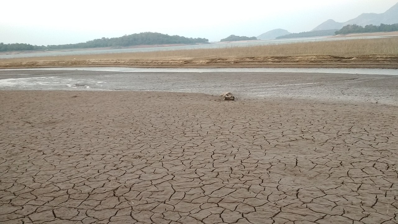 V létě vysychající oblast Kava poblíž indické přehrady Malampuža
